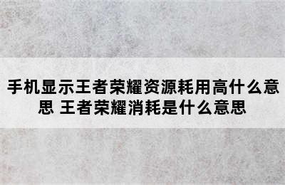 手机显示王者荣耀资源耗用高什么意思 王者荣耀消耗是什么意思